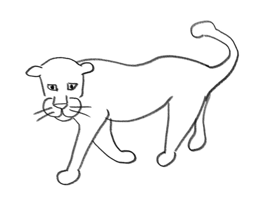 Draw a leopard in 10 steps Mongabay Kids