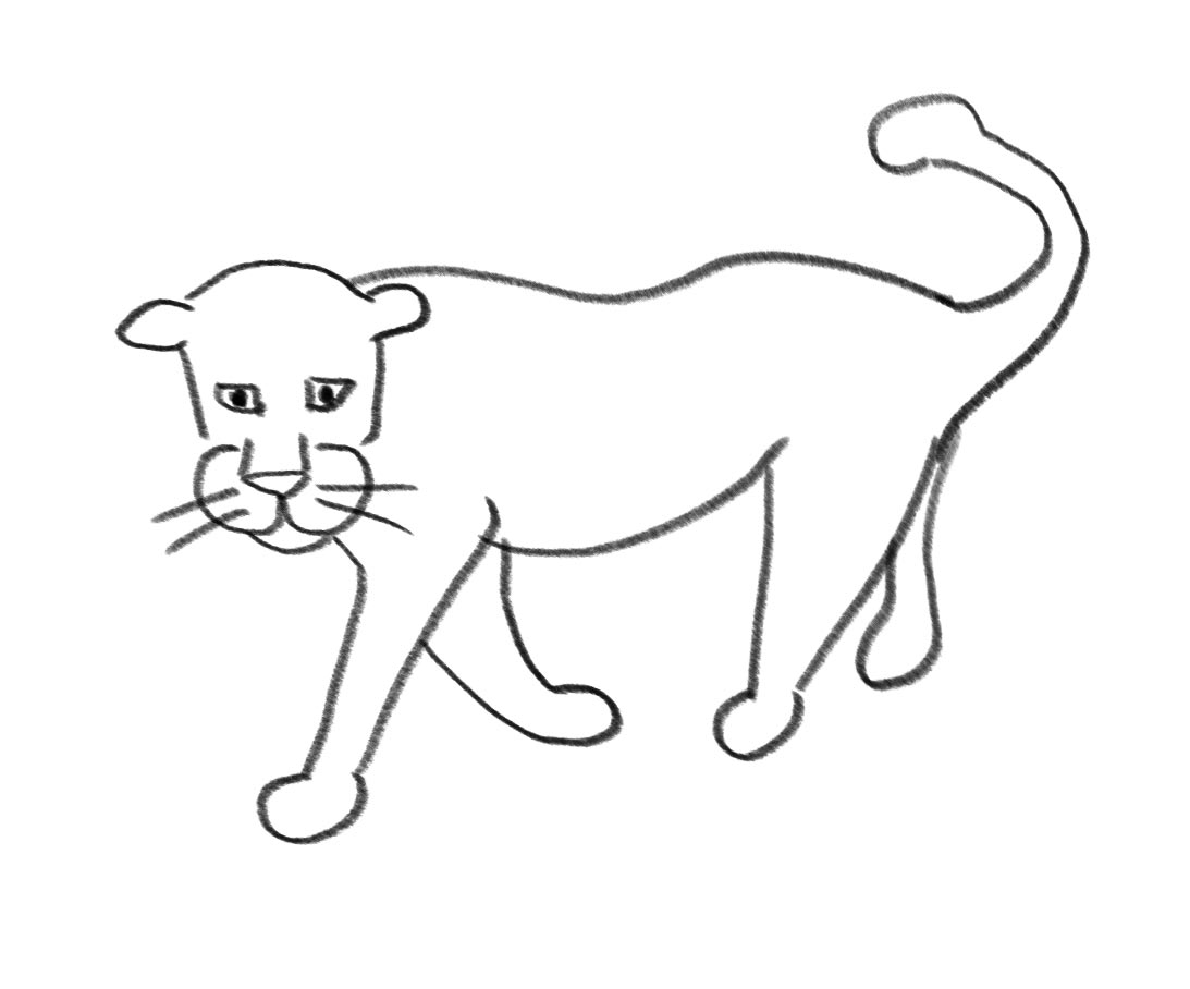 Draw a leopard in 10 steps – Mongabay Kids