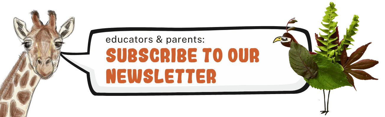 newsletter footer image1