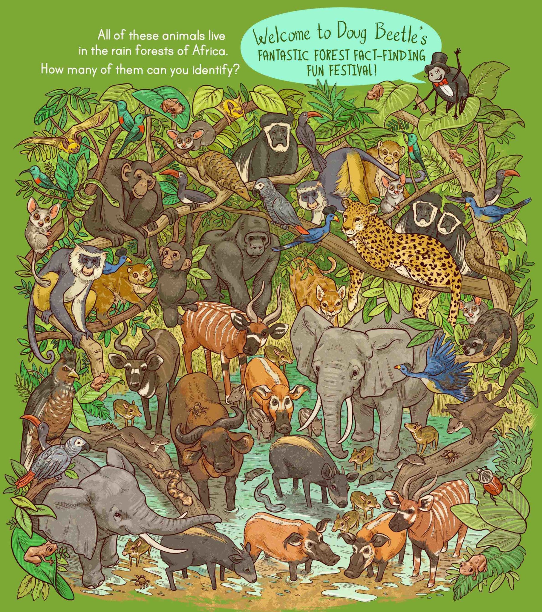African forest animal search Mongabay Kids
