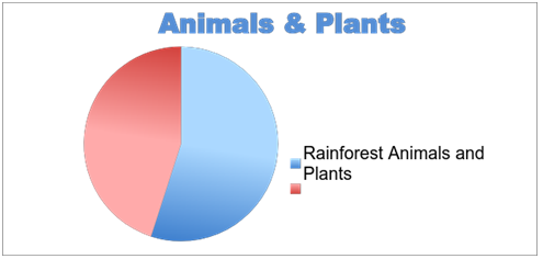 a pie chart about animals and plants in rainforests