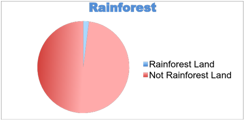 rainforest biodiversity
