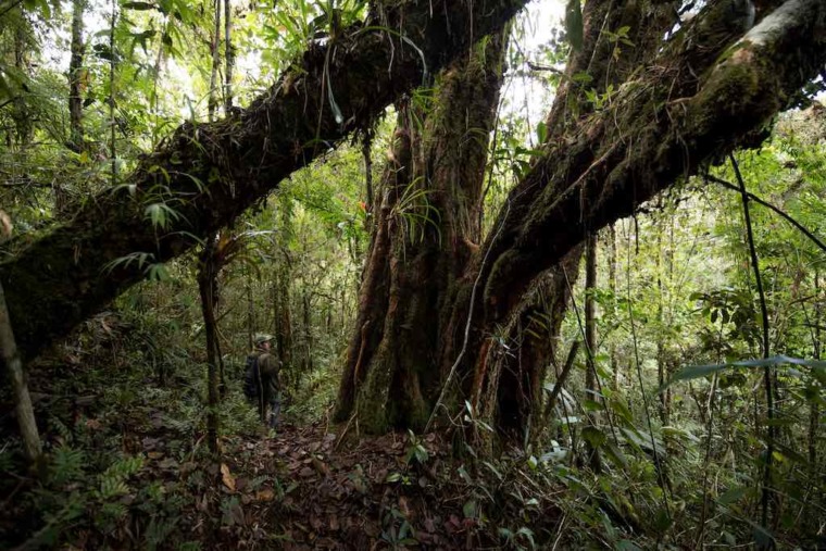 Romi Castagnino loves camera traps! – Mongabay Kids