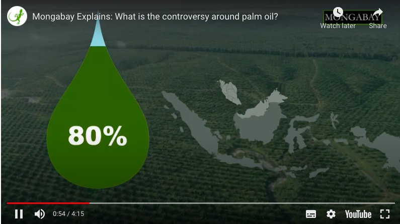 The reasons why palm oil is so controversial