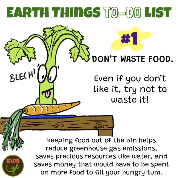 Don't waste food