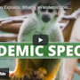 What is an endemic species?