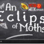 Video: An eclipse of moths! With Doug Beetle