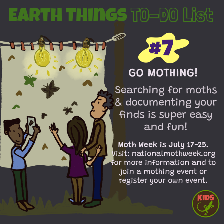 Moth activities for all ages! Mongabay Kids
