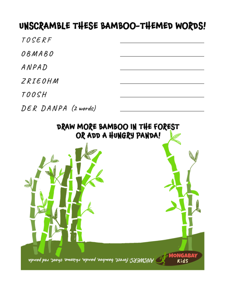 Bamboo word scramble Mongabay Kids