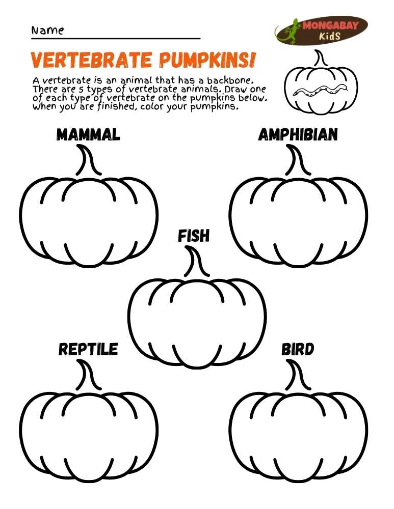 Vertebrate pumpkins! – Mongabay Kids