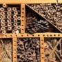 Build an insect hotel