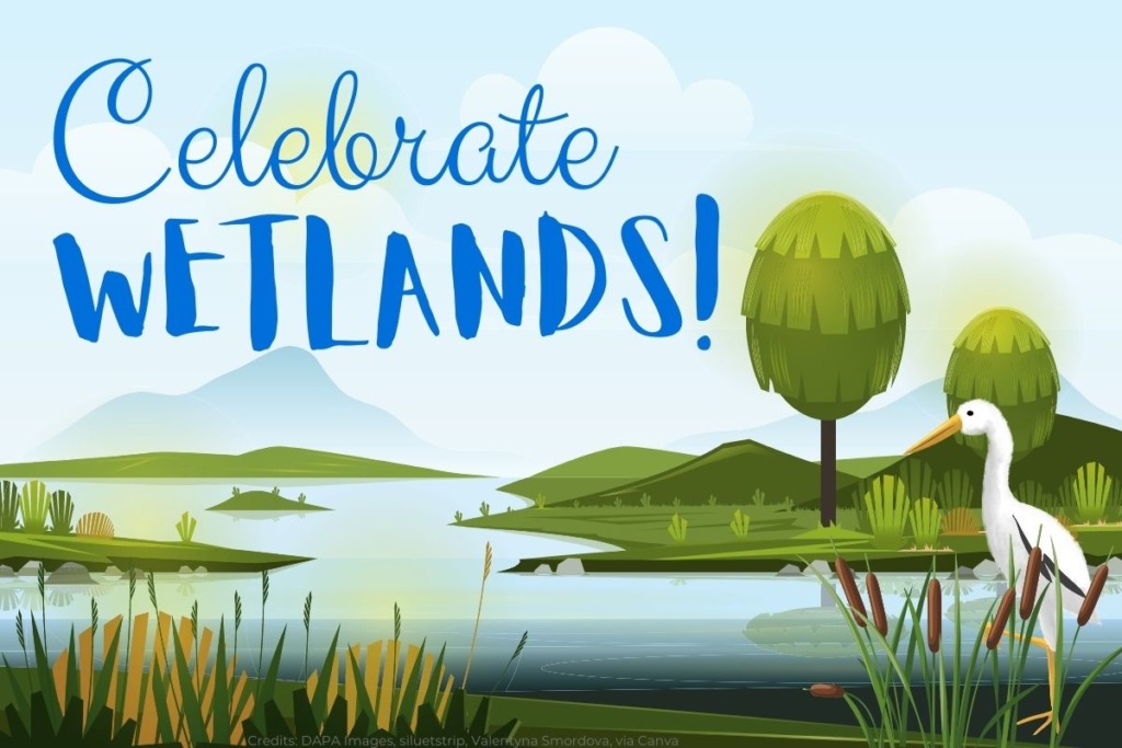 wetland animals and plants for kids