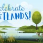 What are wetlands and how can we protect them?