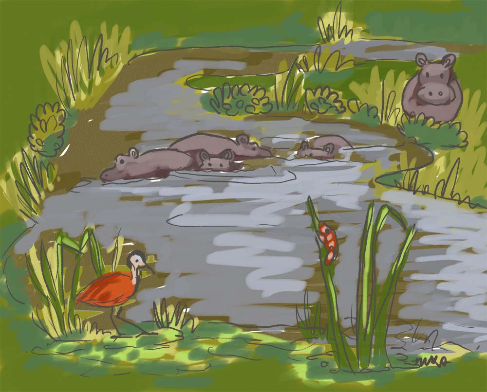 wetland animals and plants for kids