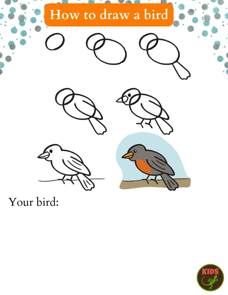 Draw a bird today! – Mongabay Kids