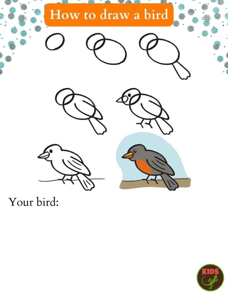 Cute Bird Drawing Easy method for Kids or Beginners