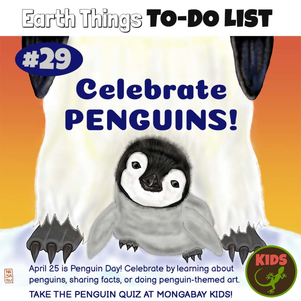 Celebrate penguins
