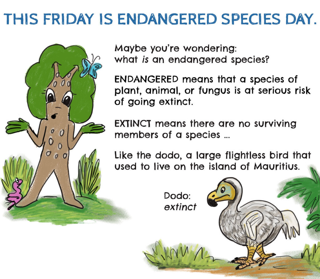 Endangered Species Day Mongabay Kids