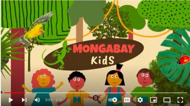 Have you heard of Mongabay Kids?