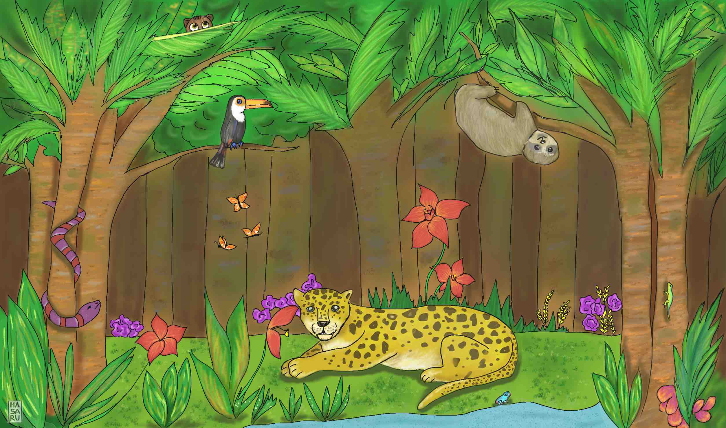 Tropical Rainforest Pictures To Draw For Kids Infoupdate