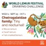 Join the lemur drawing challenge!