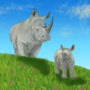 Take the rhino quiz!