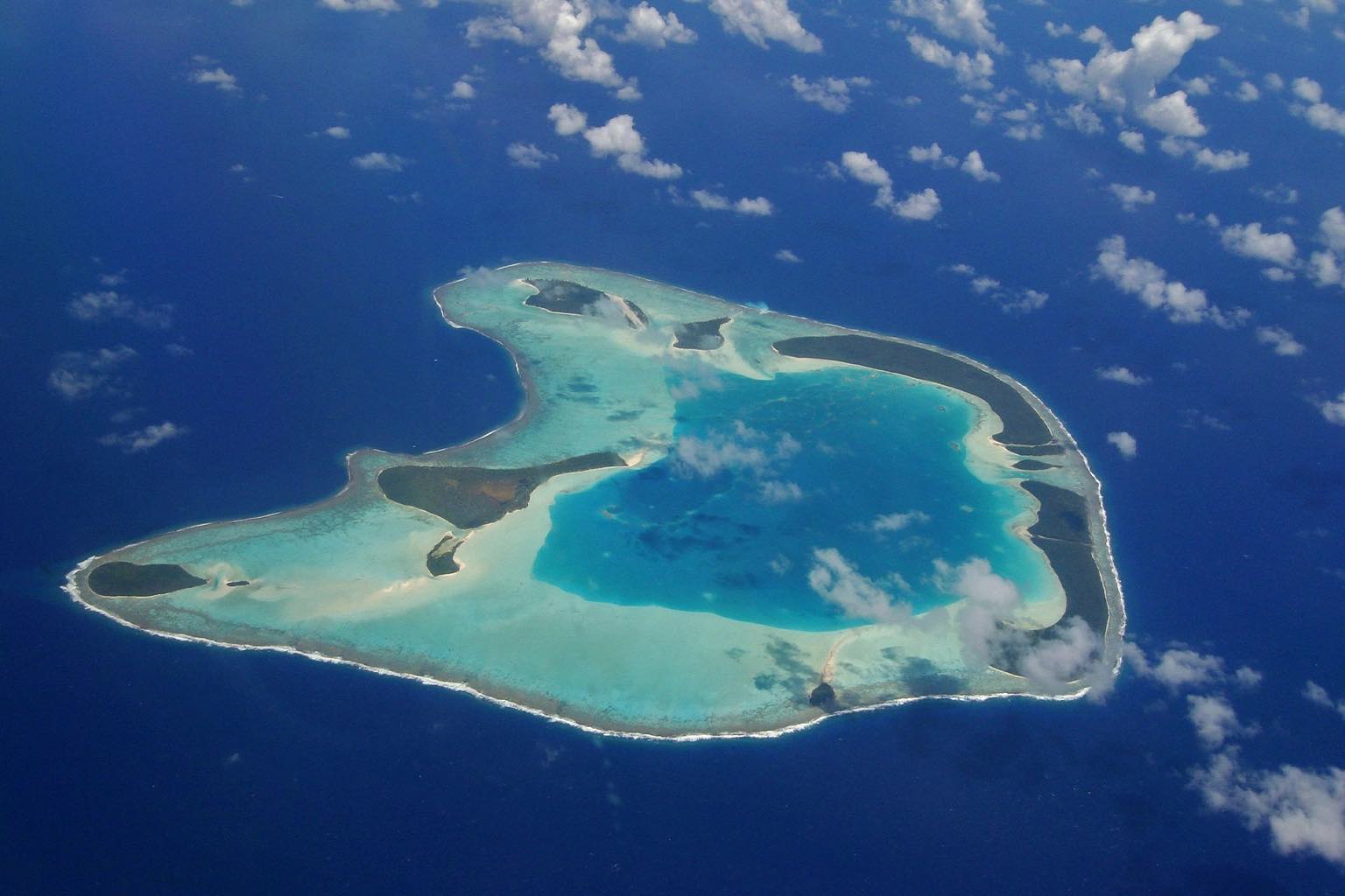 Island vs. rat: Removing the invaders of Tetiaroa Atoll – Mongabay Kids