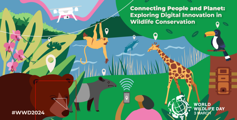 World Wildlife Day 2024 poster