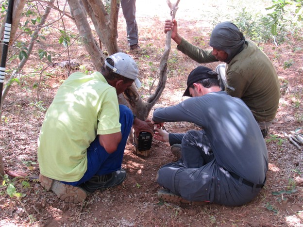 Citizen scientists setting up a camera trap