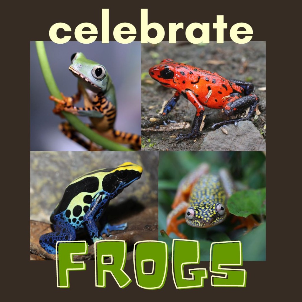 Frog Day Fun For Kids Mongabay