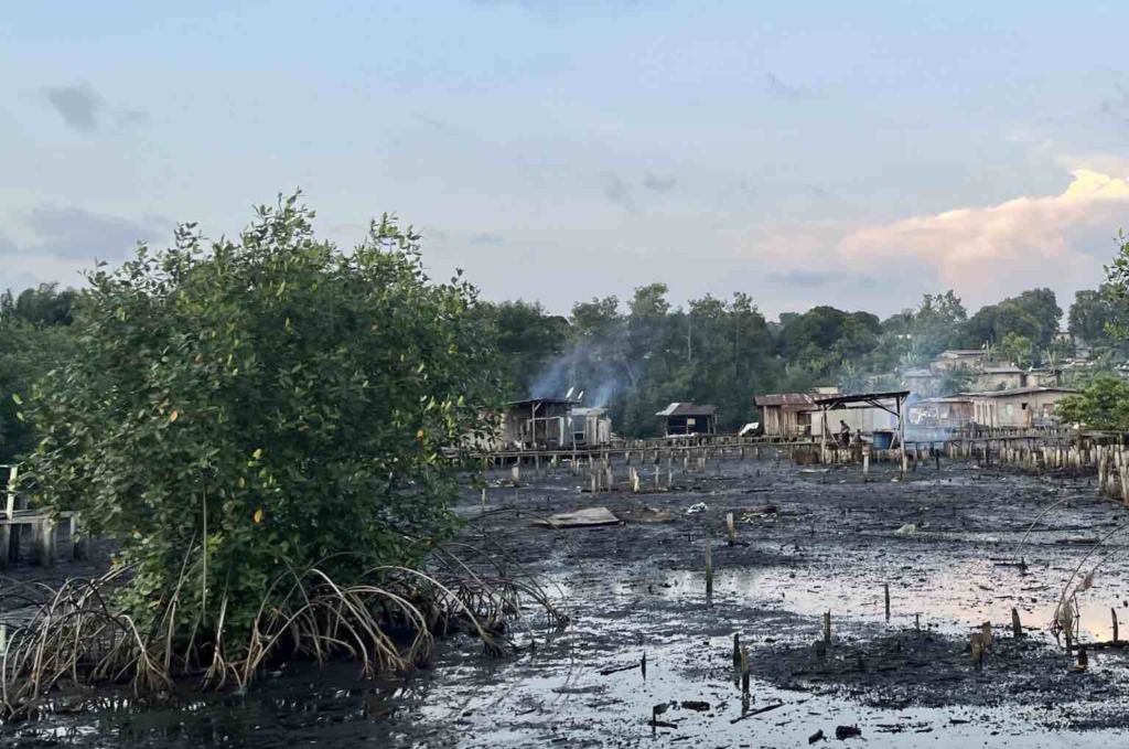 Houses on stilts in mangroves