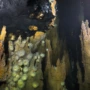 Scientists discover deep sea hydrothermal vents that swarm with life