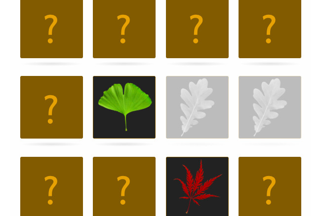 leaf matching game