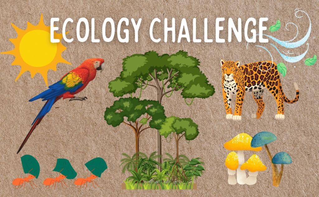 ecology challenge