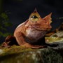 New tech can capture small animals in 3D!