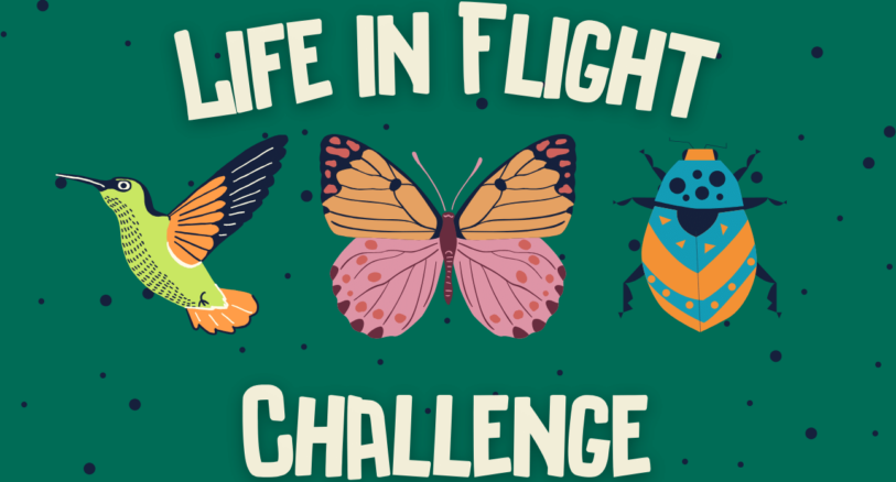 life in flight challenge