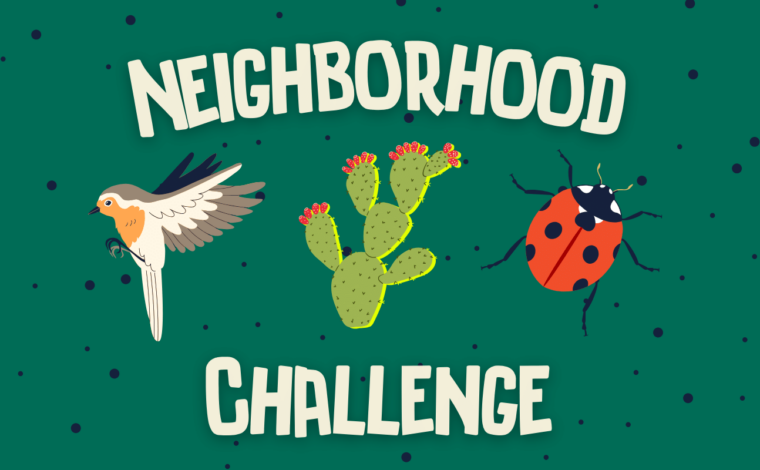 Neighborhood challenge