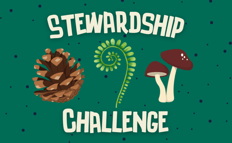 stewardship challenge
