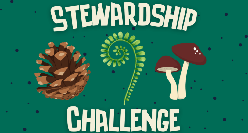 stewardship challenge