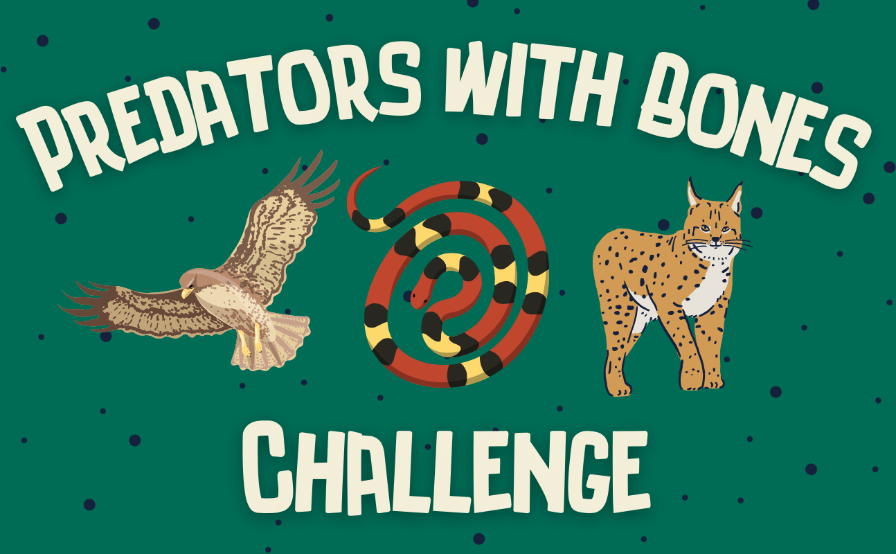 predators with bones challenge