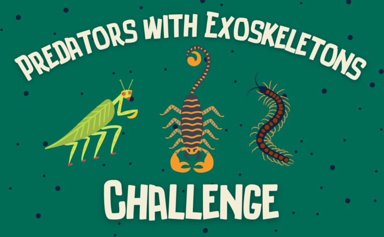 predators with exoskeletons challenge