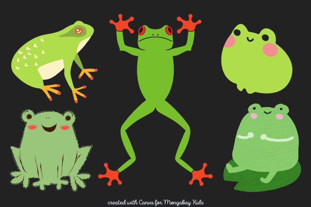 fun frogs