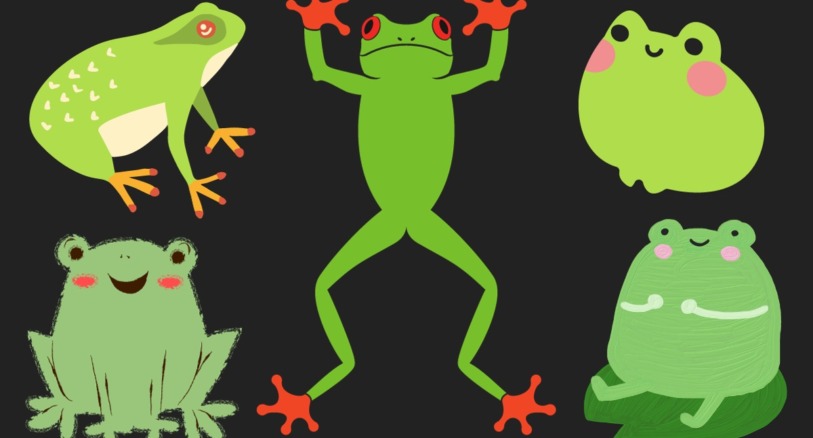 fun frogs