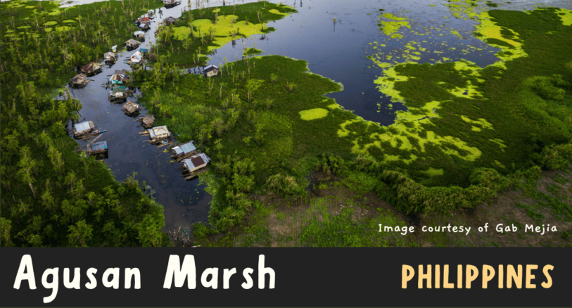 Agusan Marsh in the Philippines