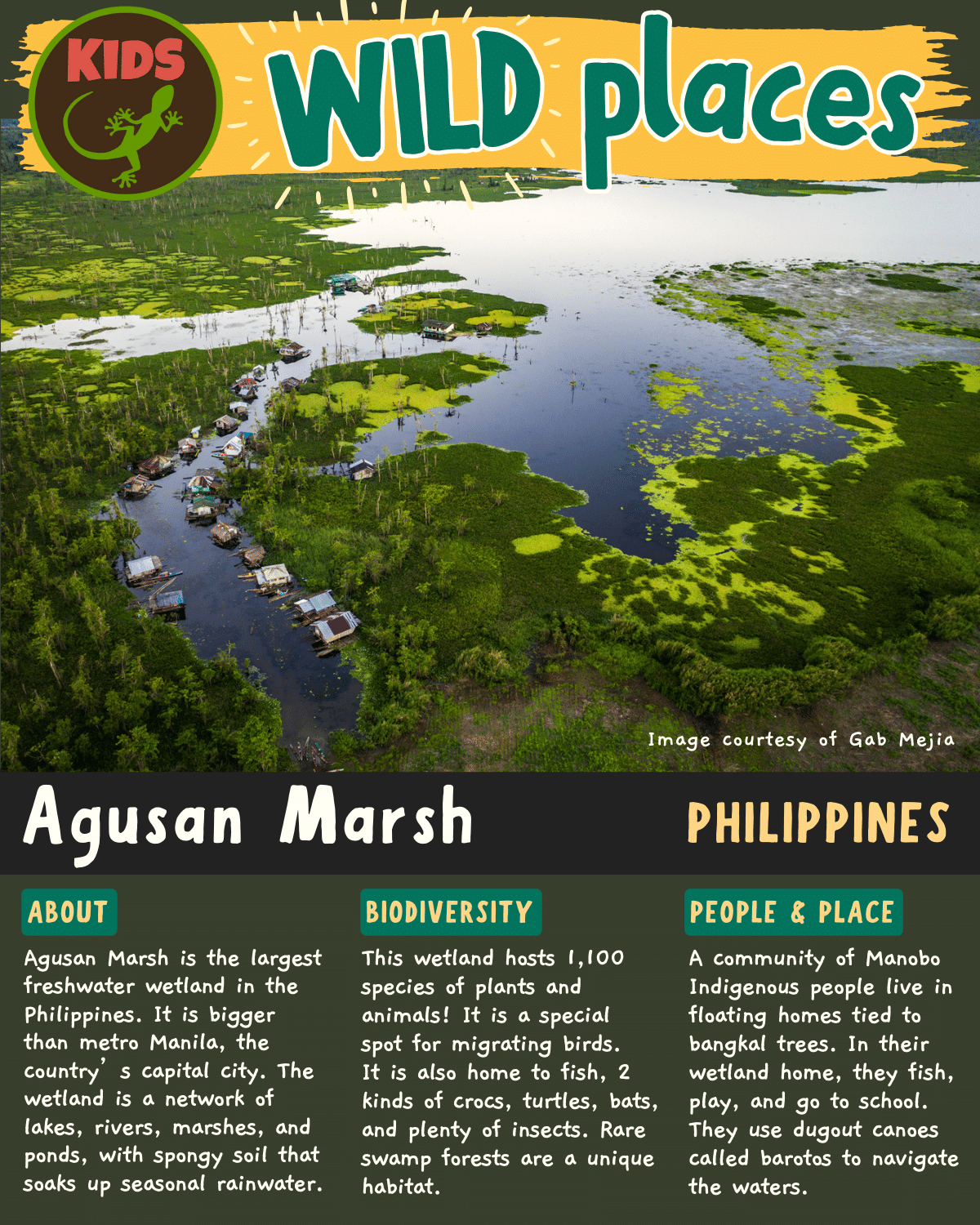 Agusan Marsh in the Philippines