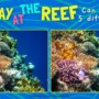 Spot the difference: A day at the reef