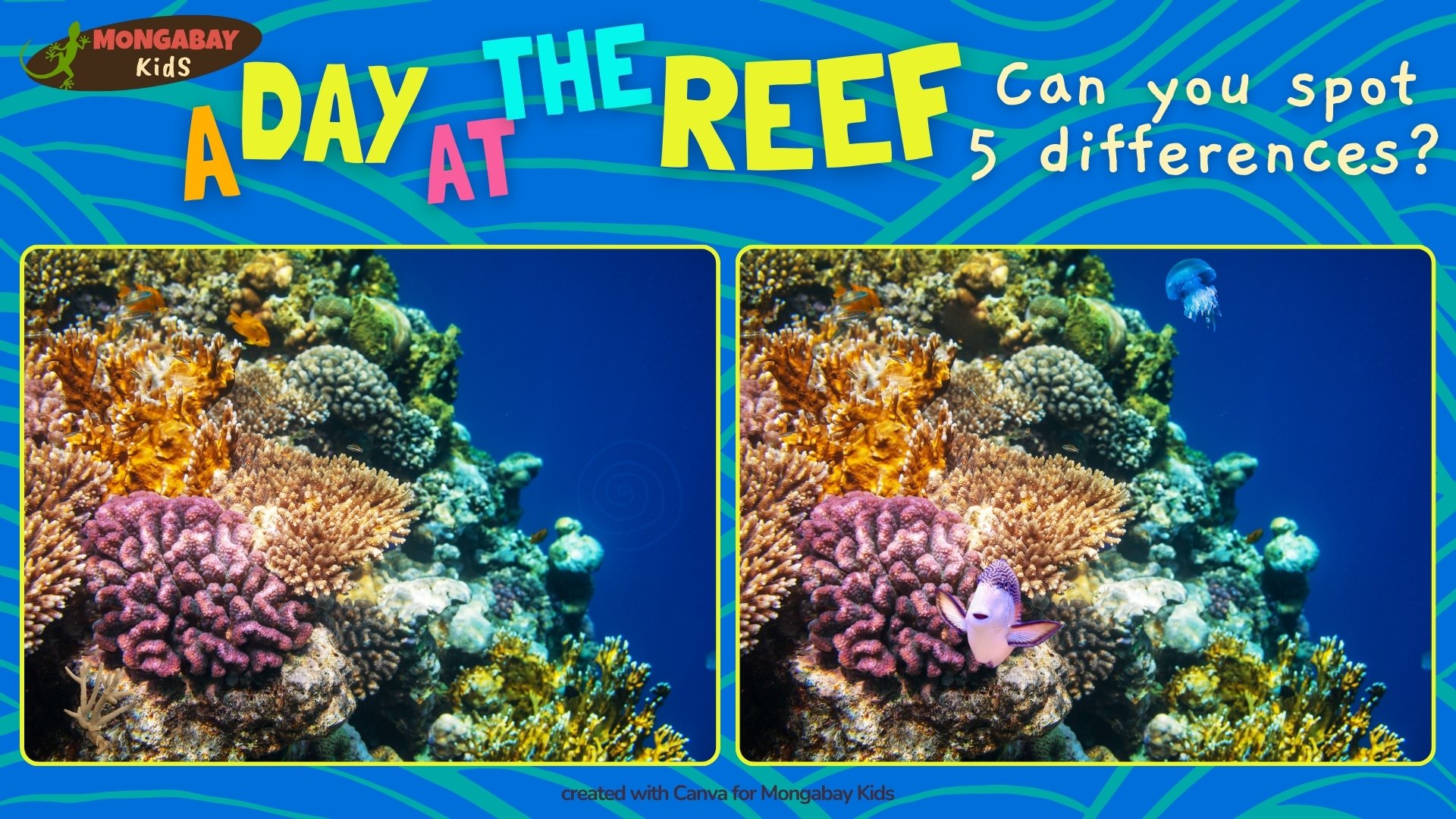 coral reef spot the difference puzzle