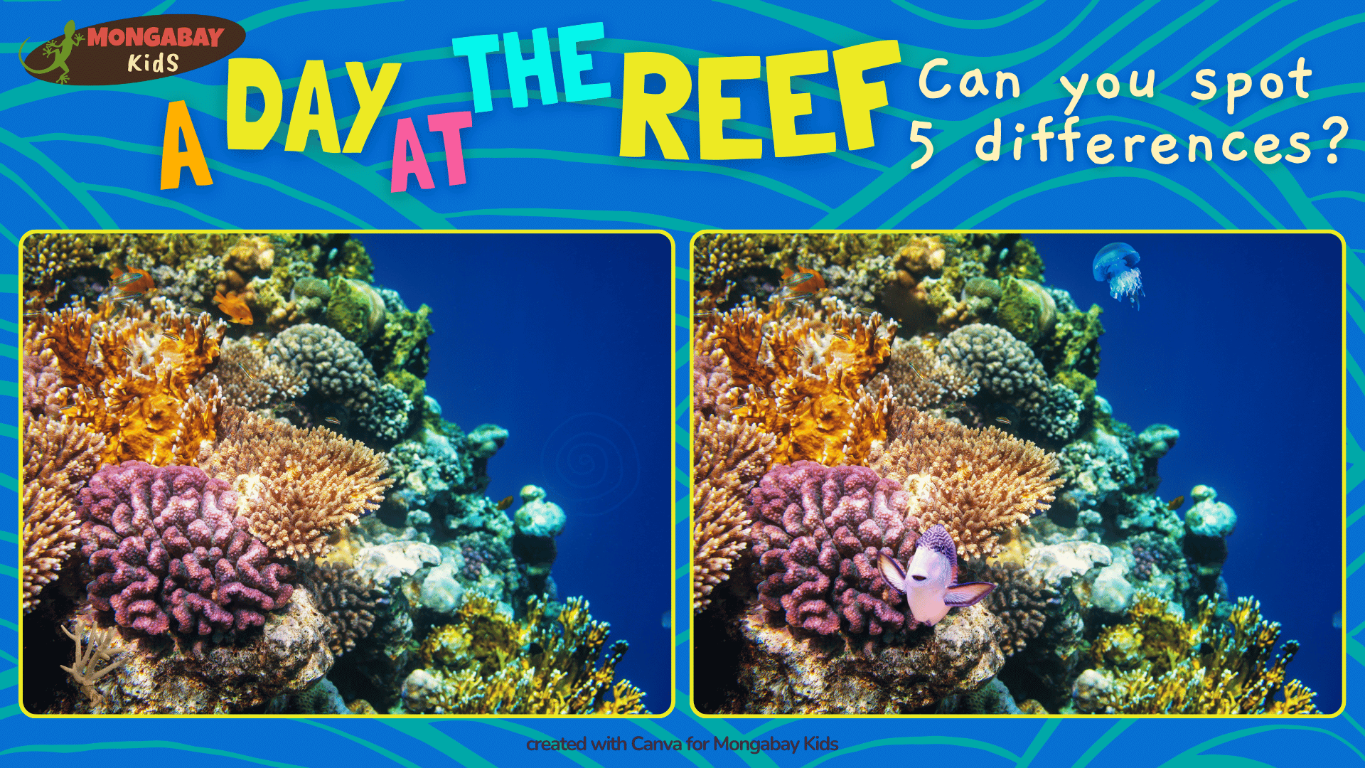 coral reef spot the difference puzzle