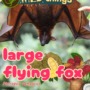 Large flying fox (Pteropus vampyrus)