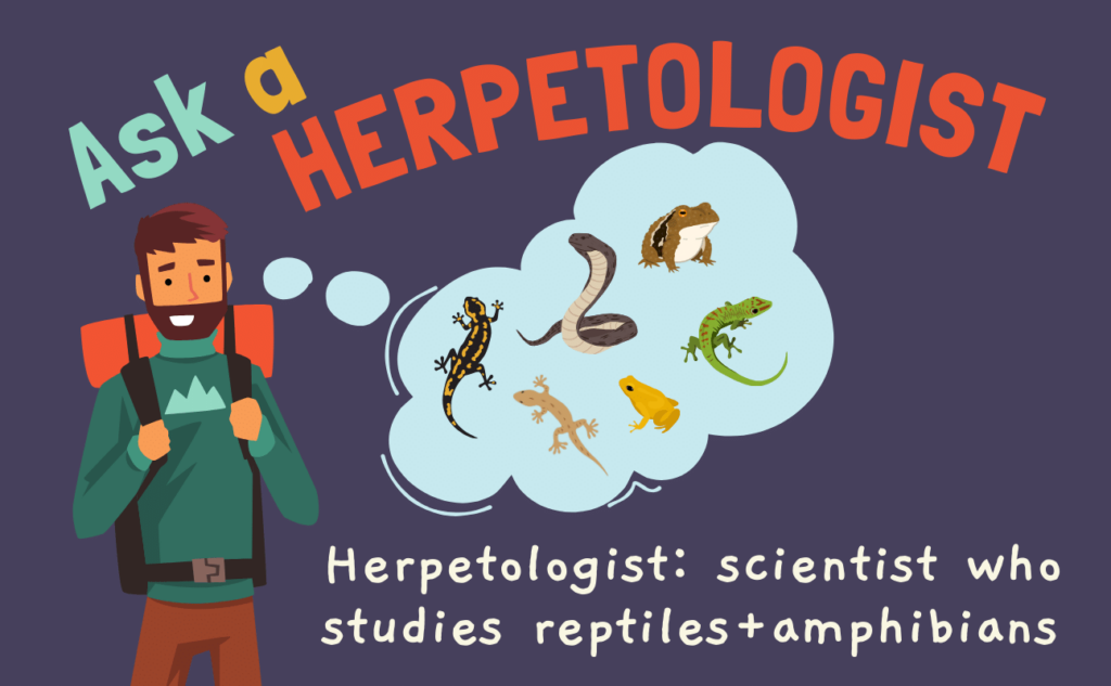 Ask a herpetologist